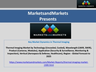 Key Market Dynamics in Thermal Imaging