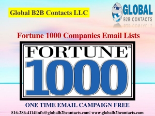 Fortune 1000 Companies Email Lists