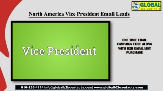 North America Vice President Email Leads