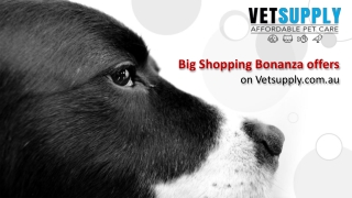 Big Shopping – Daily Special Deals & Surprises until Summer!