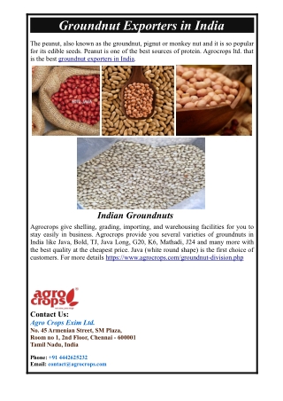 Groundnut Exporters In India