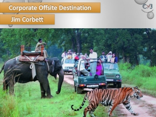 Corporate Outing Near Delhi | Corporate Offsite in Jim Corbett