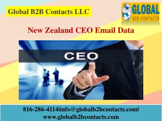 New Zealand CEO Email Data