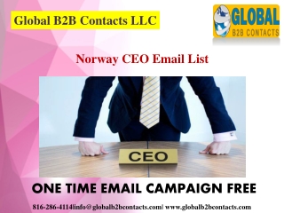 Norway CEO Email List