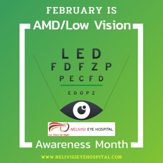 February is Age Related Macular Degeneration and Low Vision Awareness Month