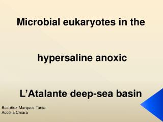 Microbial eukaryotes in the hypersaline anoxic L’Atalante deep-sea basin