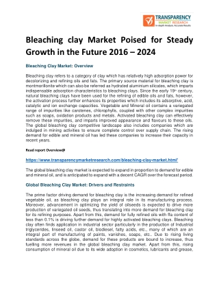 Bleaching clay Market Poised for Steady Growth in the Future 2016 – 2024