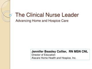 The Clinical Nurse Leader