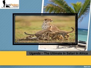 Uganda – The Ultimate In Safari In Africa