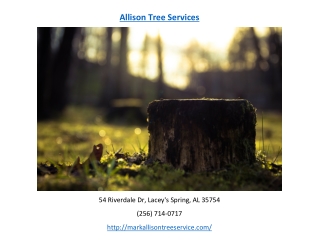 Allison Tree Services