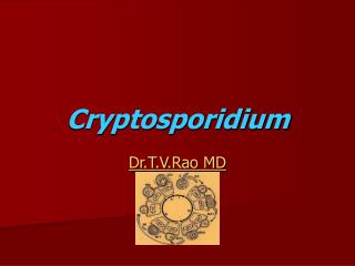 Cryptosporidium