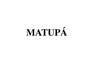 MATUPÁ