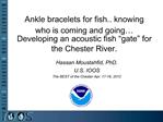 Ankle bracelets for fish.. knowing who is coming and going Developing an acoustic fish gate for the Chester River.