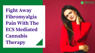 Say “No” to Fibromyalgia Pain With The Best Pain Reliever in Town