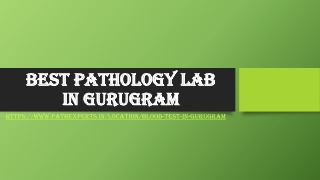 Best pathology lab in Gurugram