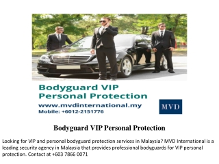 Bodyguard VIP Personal Protection