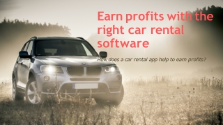 Earn profits with the right car rental software