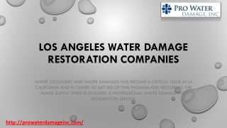 Los Angeles Water Extraction