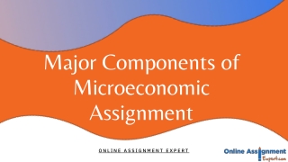 Major Components of Microeconomics Assignments