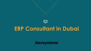 ERP Consultant in Dubai | Ibex Systems