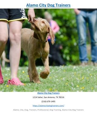 Alamo City Dog Trainers