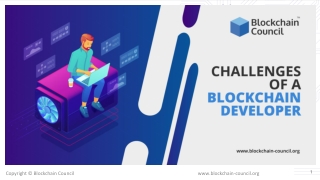 Challenges of a Blockchain Developer