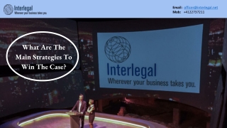 What Are The Main Strategies To Win The Case? Interlegal