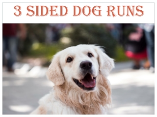 3 Sided Dog Runs & River Side Puppies