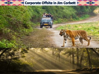 Aahana Resort For Corporate Venues in Jim Corbett