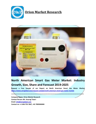 North American Smart Gas Meter Market Size, Share, Forecast, Analysis, Industry Report to 2025