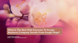 What Is The Best Web Extractor To Scrape Business/Company Details From Google Maps?