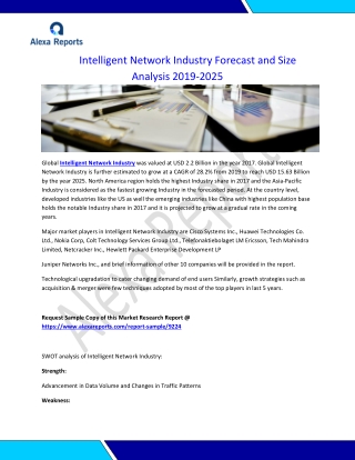 "Global Intelligent Network Industry Forecast and Size Analysis 2019-2025. "