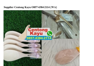 Supplier Centong Kayu Ô857.4384.2II4[wa]