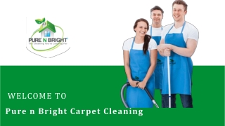 Pure n Bright Carpet Cleaning