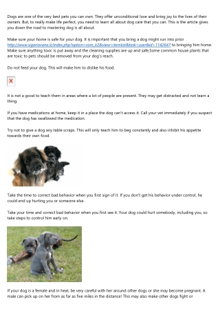 Need Help W&#105;th Your Dog&#63; Here Are Som&#101; Tips.