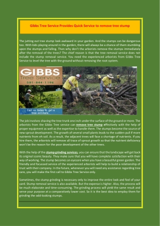 Gibbs Tree Service Provides Quick Service to remove tree stump