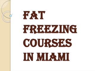 Fat Freezing Courses in Miami