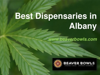 Best Dispensaries in Albany - www.beaverbowls.com