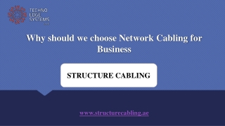 Why should we choose Network Cabling for Business