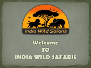 Budgeted Popular Wildlife Tiger Safari Destination In India