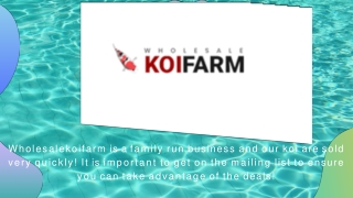 K1 & K3 Pond Filter Media-wholesalekoifarm