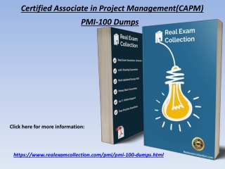 2020 Latest PMI PMI-100 Exam Questions