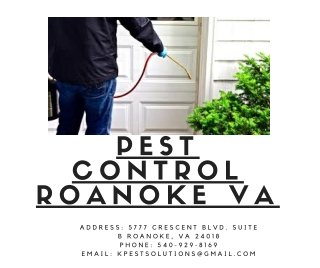 Pest Control Roanoke VA | Killinger Pest Solutions