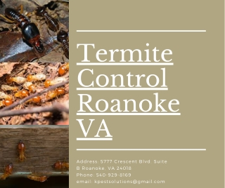 Termite Control Roanoke VA | Killinger Pest Solutions