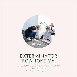 Termite Control Roanoke VA | Killinger Pest Solutions