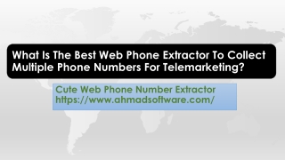 What Is The Best Web Phone Extractor To Collect Multiple Phone Numbers For Telemarketing?