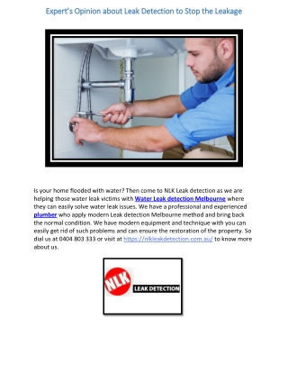 Expert’s Opinion about Leak Detection to Stop the Leakage