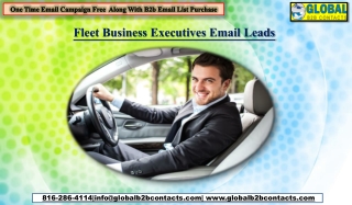 Fleet Business Executives Email Leads