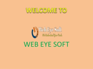 Cheap and Secure Web Hosting in India – Web Eye Soft