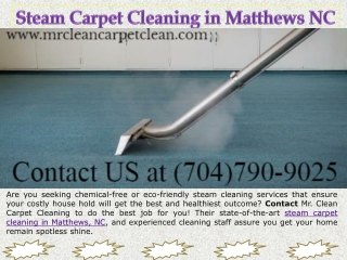 Steam Carpet Cleaning in Matthews NC